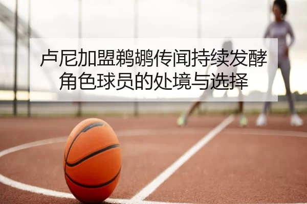 卢尼加盟鹈鹕传闻持续发酵 角色球员的处境与选择